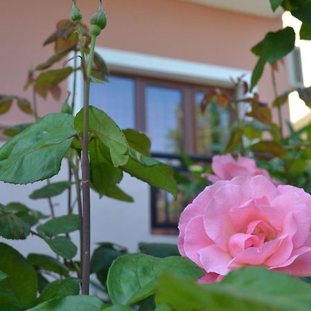 Melina'S House Aparthotel Stalos Exterior photo