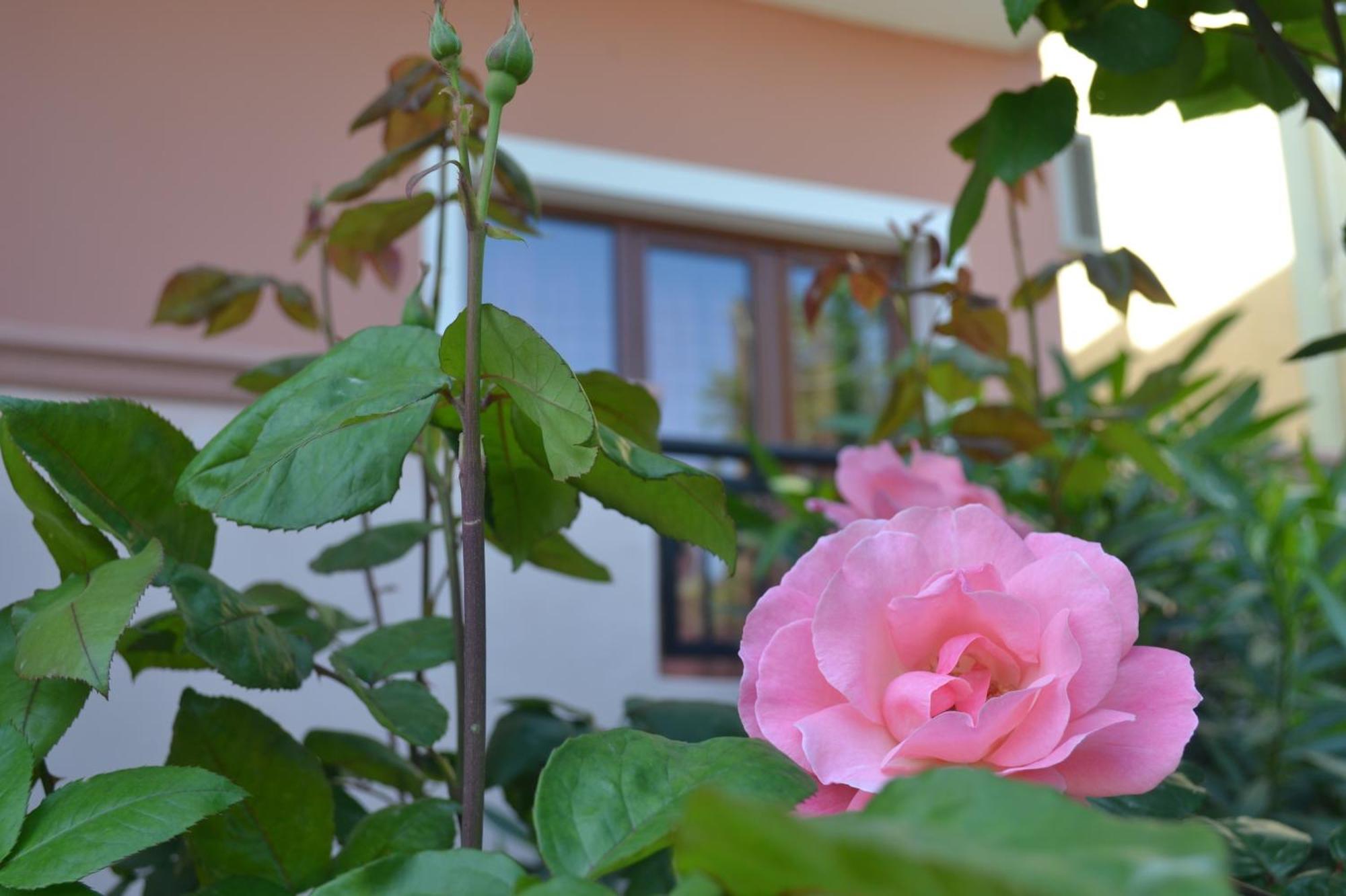 Melina'S House Aparthotel Stalos Exterior photo